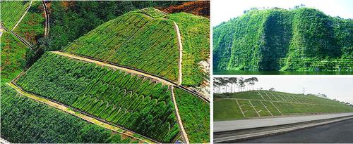 河南景绣园林绿化工程施工边坡绿化方案边坡绿化防护